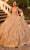 Amarra 54326 - Sleeveless 3D Floral Embellished Ballgown Special Occasion Dress 00 / Gold