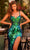 Amarra 88826 - Sequin Fringe Sheath Evening Dress Special Occasion Dress