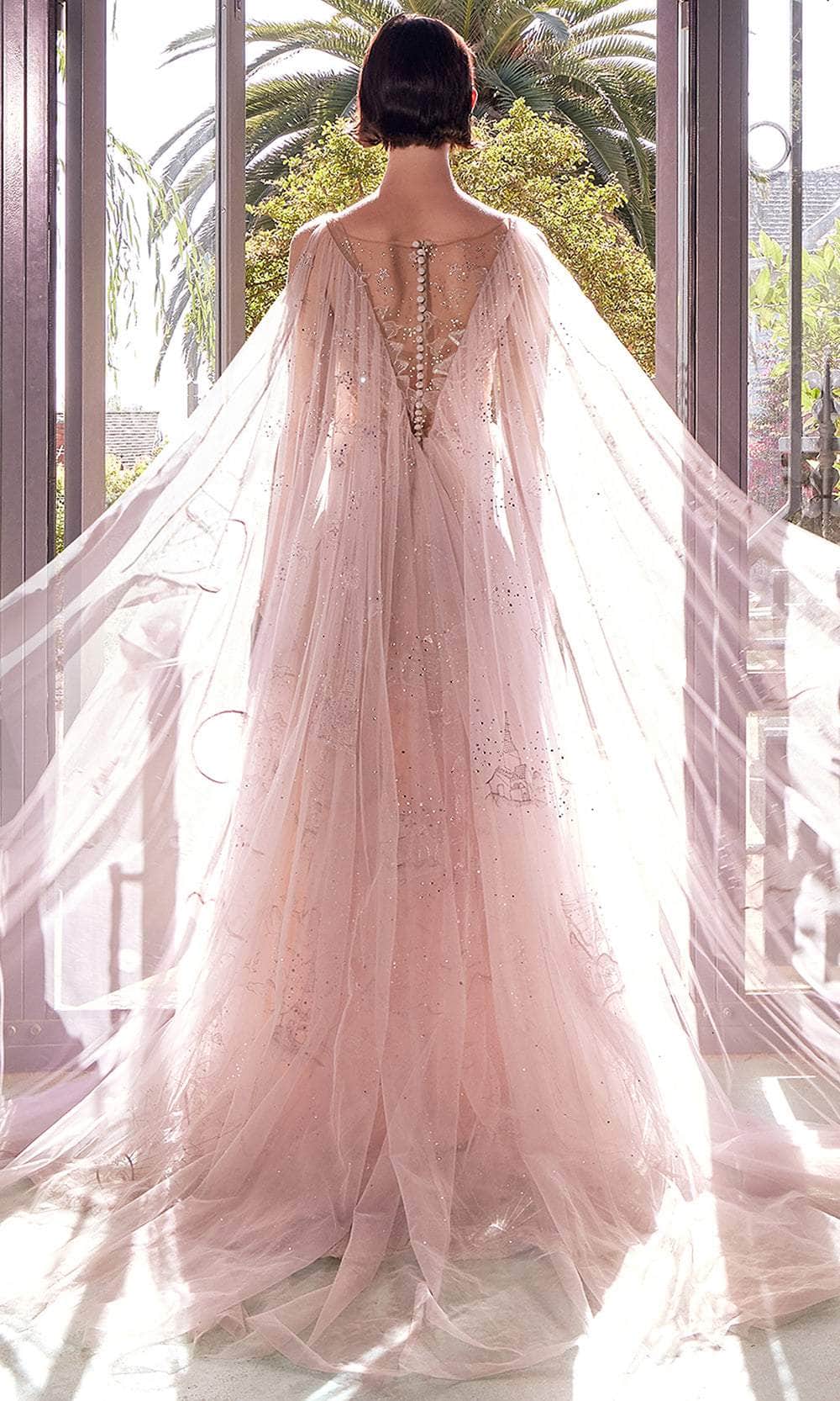 Andrea & Leo A1459 A Line Formal Long Corset Cape Prom Dress - Nude / 12 Andrea & Leo A1459 A Line Formal Long Corset Cape Prom Dress - Nude / 12
