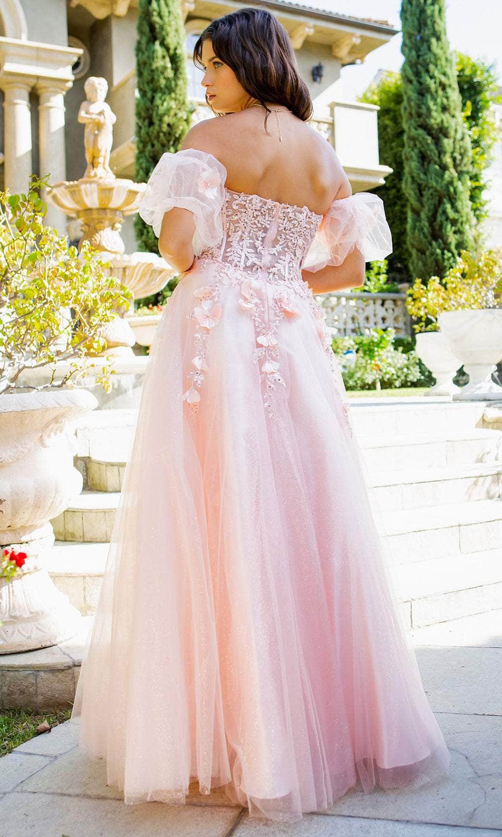 Cinderella Couture 8042J - Sweetheart Appliqued A-Line Prom Gown 10/L / Blush - Shop Cinderella Couture dresses on Couture Candy at CoutureCandy.com Cinderella Couture 8042J - Sweetheart Appliqued A-Line Prom Gown 10/L / Blush - Shop Cinderella Couture dresses on Couture Candy at CoutureCandy.com