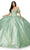Cinderella Couture 8045J - Floral Appliqued Deep Sweetheart Ballgown Special Occasion Dress