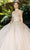 Cinderella Couture 8046J - Butterfly Appliqued Sweetheart Ballgown Special Occasion Dress