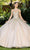 Cinderella Couture 8046J - Butterfly Appliqued Sweetheart Ballgown Special Occasion Dress XS / Champagne