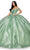 Cinderella Couture 8060J - Floral Applique Off-Shoulder Ballgown Special Occasion Dress