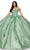 Cinderella Couture 8060J - Floral Applique Off-Shoulder Ballgown Special Occasion Dress XS / Sage