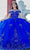 Cinderella Couture 8100J - Beaded Applique Off-Shoulder Ballgown Ball Gowns XS / Royal