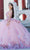 Cinderella Couture 8125J - 3D Floral Embellished Ballgown Ball Gowns