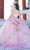 Cinderella Couture 8125J - 3D Floral Embellished Ballgown Ball Gowns