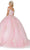 Dancing Queen 1592 - Sweetheart Floral Embroidered Ballgown Quinceanera Dresses XL / Blush