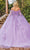 Dancing Queen 1840 - Butterfly Off Shoulder Ballgown Special Occasion Dress