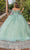 Dancing Queen 1853 - Floral Applique Illusion Ballgown Special Occasion Dress