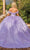 Dancing Queen 1864 - Embroidered Corset Bodice Ballgown Special Occasion Dress