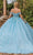 Dancing Queen 1867 - Sheer Corset Applique Ballgown Special Occasion Dress