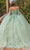 Dancing Queen 1880 - Twin Sheer Cape Embroidered Ballgown Ball Gowns
