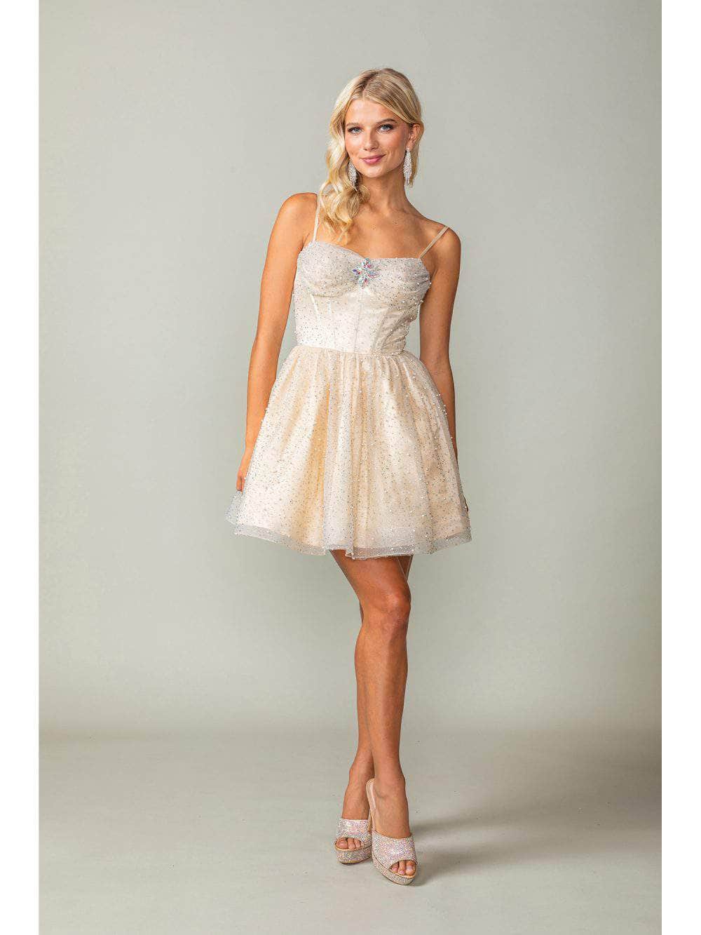 Short Glitter Fit-and-Flare Homecoming Dress 3389