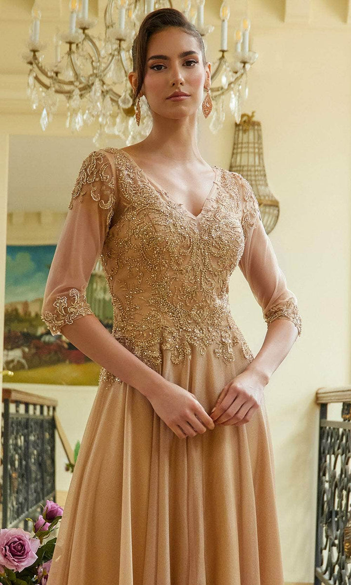 Illusion V-Neckline A-Line Women Formal Dress by Elizabeth K - GL3572 - Special Occasion/Curves
