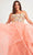 Faviana 9557 - Scoop A-Line Prom Dress Special Occasion Dress