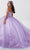 Fiesta Gowns 56467 - Embroidered Floral and Glittery Voluminous Gown Ball Gowns