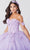 Fiesta Gowns 56467 - Embroidered Floral and Glittery Voluminous Gown Ball Gowns