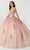 Fiesta Gowns 56470 - Corseted Floral Princess Ballgown Ball Gowns 0 / Blush Ombre