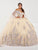 Fiesta Gowns 56491 - Embroidered Sleeveless Ballgown Special Occasion Dress