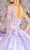 GLS by Gloria GL3484 - Embroidered Sweetheart Ballgown Ball Gowns
