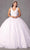 Juliet Dresses 1437 - Floral Applique Ball Gown Special Occasion Dress XS / White