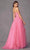 Juliet Dresses 260 - Applique Tulle Prom Dress Special Occasion Dress