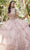 Juliet Dresses JT1450J - Sweetheart Beaded Appliqued Ballgown Ball Gowns XS / Rose Gold