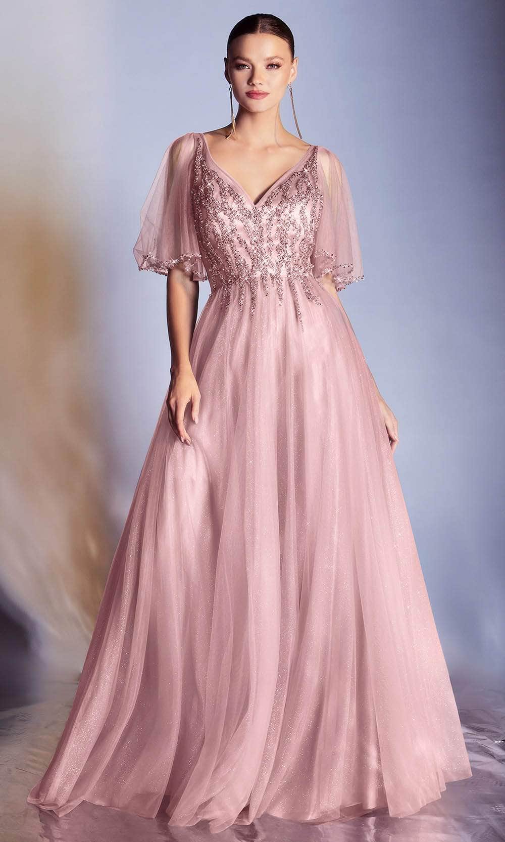 Ladivine CD0175 | Long A-Line Dress Ladivine CD0175 | Long A-Line Dress