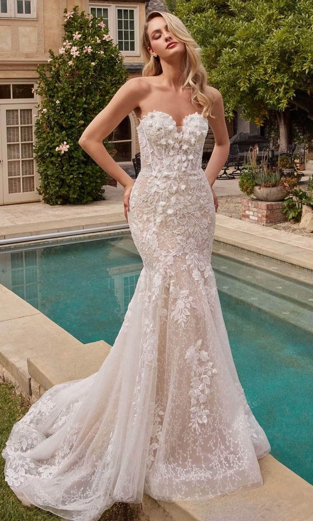 Ladivine CDS431W Floral Applique Embellished Mermaid Bridal Gown