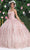 May Queen LK208 - Floral Glitter Ballgown Quinceanera Dresses