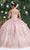 May Queen LK208 - Floral Glitter Ballgown Quinceanera Dresses
