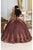 May Queen LK220 - Off Shoulder Applique Ballgown Special Occasion Dress