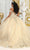 May Queen LK232 - Butterfly Ornate Ballgown Quinceanera Dresses
