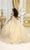 May Queen LK232 - Butterfly Ornate Ballgown Quinceanera Dresses