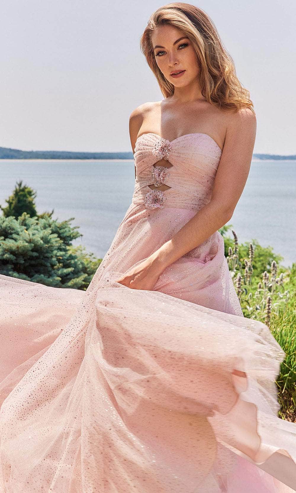 Mori Lee 49137 - Long Tulle A-Line Dress - Strapless, Ruched Bodice, Multi-Cutout, Lace Appliques, Midrise Back, Pockets, Sweep Train 10 / Blush - Mori Lee 49137 - Long Tulle A-Line Dress - Strapless, Ruched Bodice, Multi-Cutout, Lace Appliques, Midrise Back, Pockets, Sweep Train 10 / Blush -