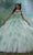 Mori Lee 60195 - Off-Shoulder 3D Floral Embellished Ballgown Ball Gowns 00 / Sage/Petal