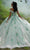 Mori Lee 60195 - Off-Shoulder 3D Floral Embellished Ballgown Ball Gowns