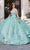 Princesa by Ariana Vara PR30139 - Bolero-Attached Floral Ball Gown Special Occasion Dress 00 / Wintermint