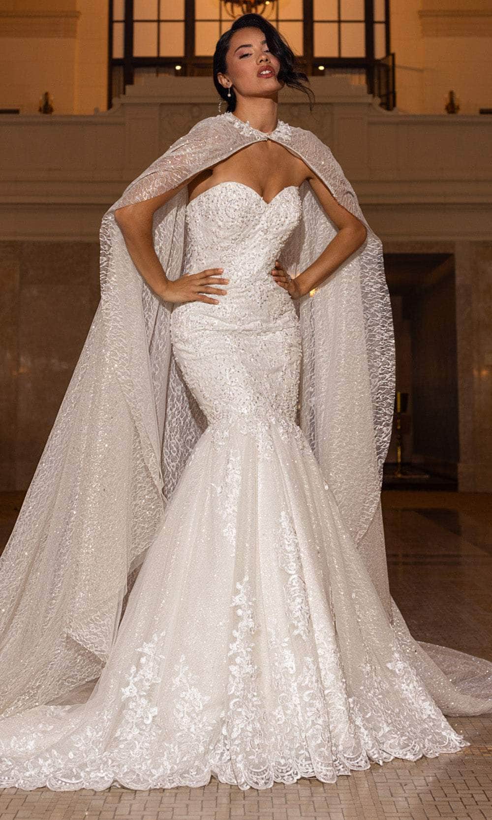 Rachel Allan RB4200 - Long Tulle, Glitter Lace, Applique, Beading Mermaid  Dress