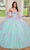 Rachel Allan RQ1120 - Strapless Corset Bodice Ballgown Ball Gowns 0 / Lilac Aqua