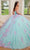 Rachel Allan RQ1120 - Strapless Corset Bodice Ballgown Ball Gowns