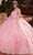 Rachel Allan RQ1121 - Floral Embroidered Sweetheart Ballgown Ball Gowns 0 / Pink