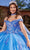 Rachel Allan RQ1121 - Floral Embroidered Sweetheart Ballgown Ball Gowns