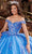 Rachel Allan RQ1121 - Floral Embroidered Sweetheart Ballgown Ball Gowns