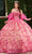 Rachel Allan RQ1123 - Scoop Floral Lace Ballgown Ball Gowns 0 / Fuchsia Champagne