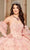 Rachel Allan RQ1123 - Scoop Floral Lace Ballgown Ball Gowns