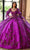 Rachel Allan RQ1135 - Bubble Sleeve Sparkling Embroidered Ballgown Ball Gowns 0 / Purple