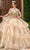 Rachel Allan RQ2173 - Floral Lace Tiered Ballgown Ball Gowns 0 / Champagne Gold